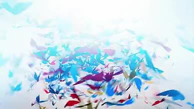 彩色蝴蝶标志视频的预览图